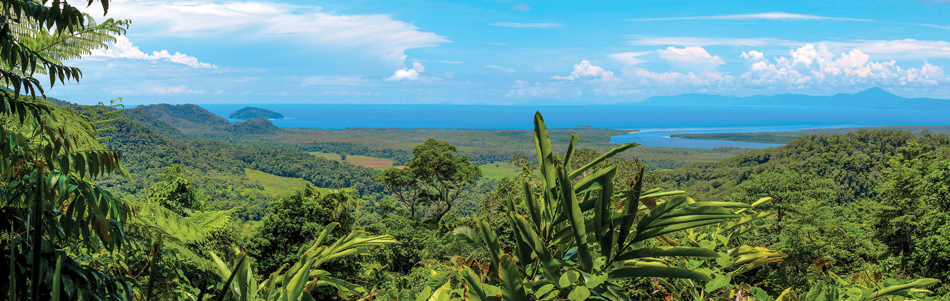 A view of tropical rainforest showing the coast merging with the blue sky and a few white clouds.